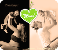 logo_bbmic_220px